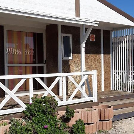 Parque De Campismo Da Praia Da Barra Gafanha da Nazaré Exterior foto